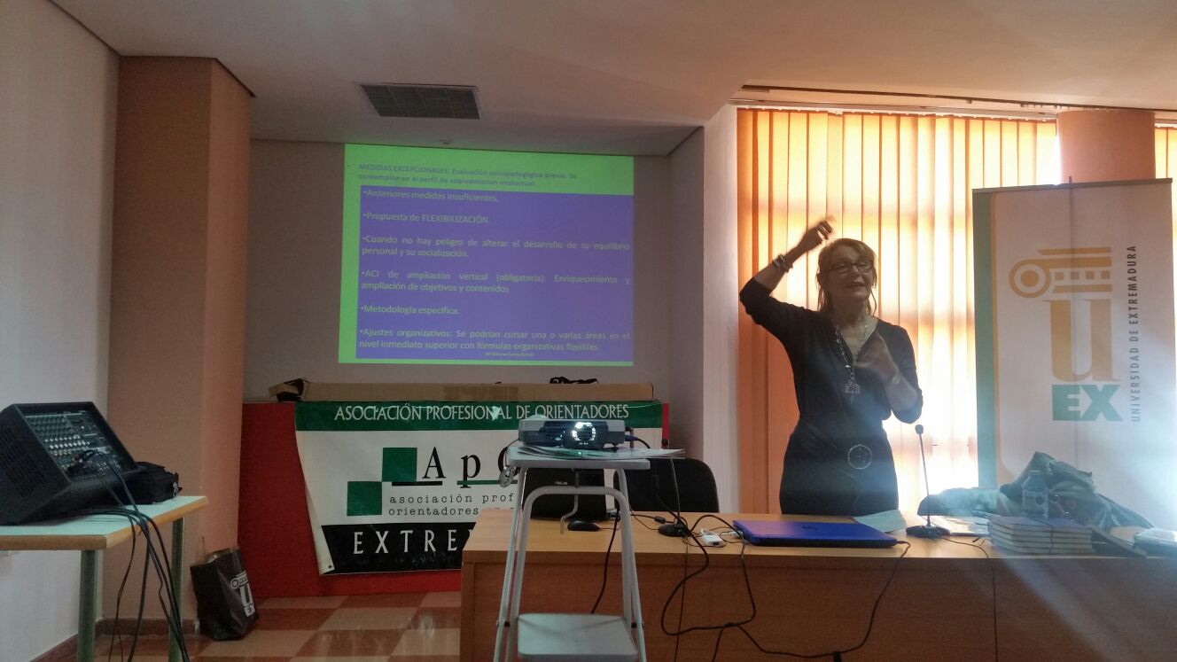 XIII-Jornadas-APOEX 2017-