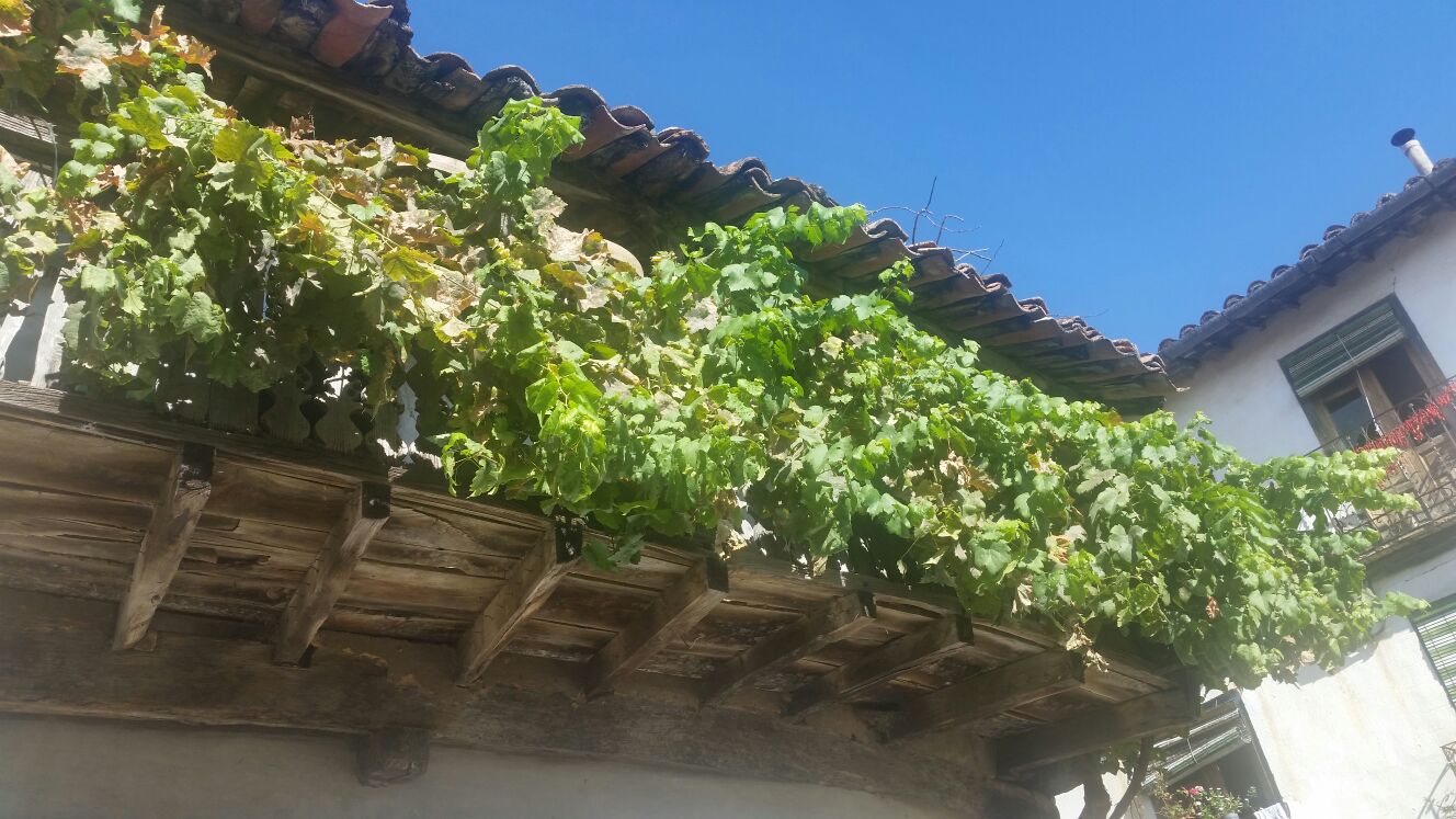 Jornadas-Convivencia-APOEX sept2016 (25)