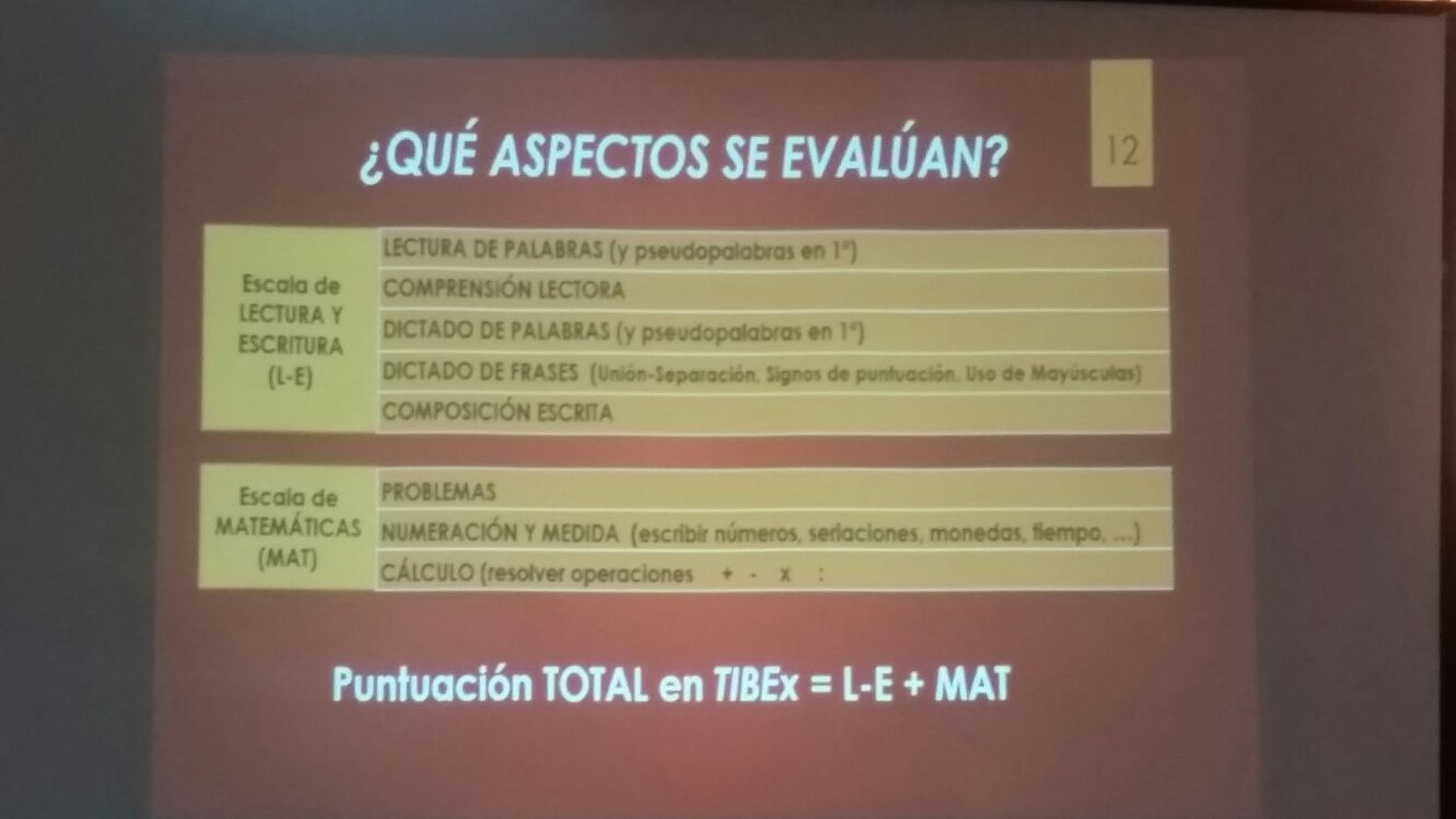 jornadas-primavera-apoex-2017 (16)